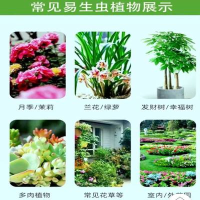 植物藥排行榜:24款優良植物藥產品推薦