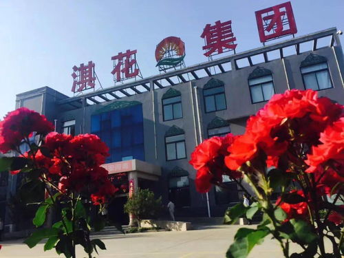 鶴壁這家企業 亮爆 食博會 尋找原因竟然是