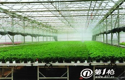 曲靖花卉育苗移動苗床-從設(shè)計生產(chǎn)到成品安裝-安平華耀