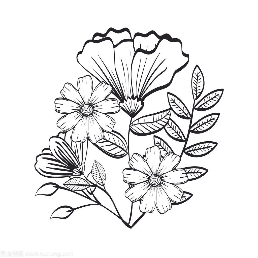 單色和鄉村裝飾花卉