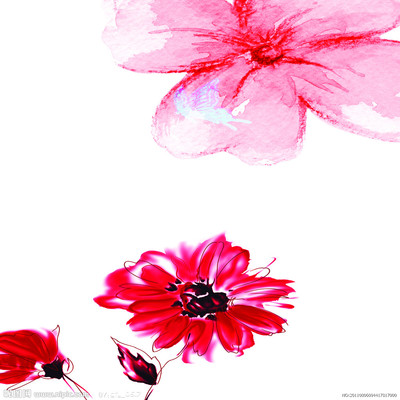 花卉設(shè)計(jì)圖__室內(nèi)設(shè)計(jì)_環(huán)境設(shè)計(jì)_設(shè)計(jì)圖庫