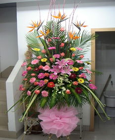 師宗網(wǎng)上花店 商品內(nèi)容 天堂鳥 粉色多頭百合 粉玫瑰 扶郎 黃鶯 時尚配花 綠葉 商品包裝 單層1.8米高開業(yè)花籃