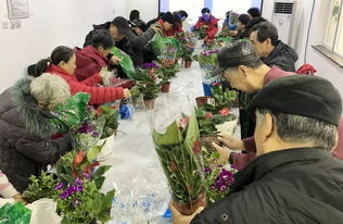 年宵花養(yǎng)護(hù)講座
