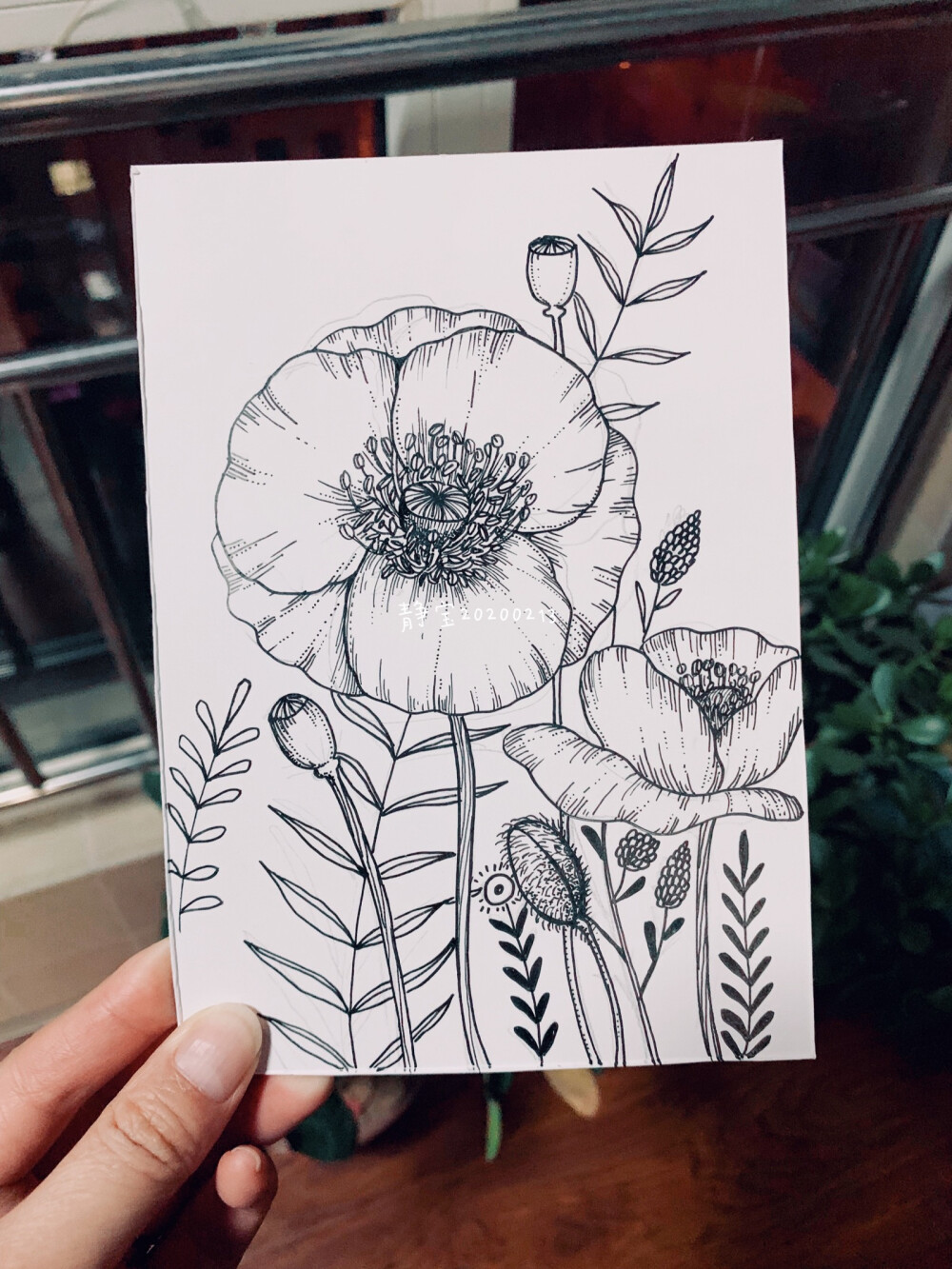 黑白花卉插畫